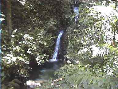 Waterfall in Monteverde 