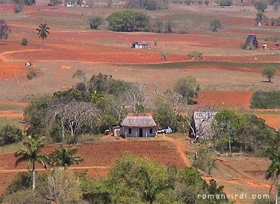 Picturesque Viñales (reddish brown and green)
