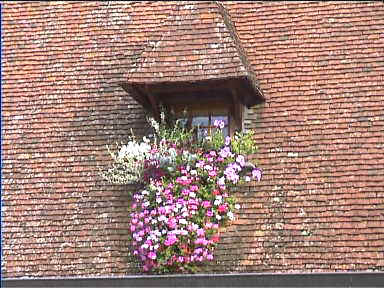 Beaune rooftop. France seemed to be overflowing with flowers