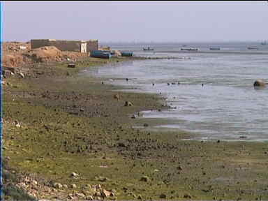 Scene near the south of Djerba