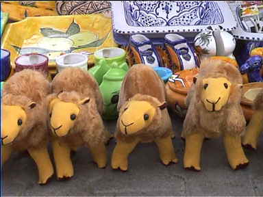 Souvenir camels