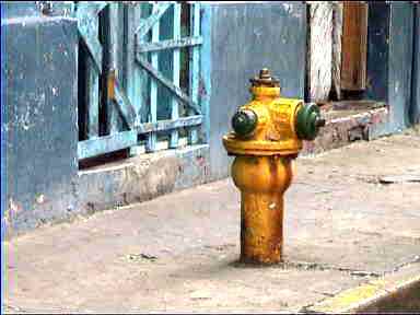 Casco Viejo hydrant
