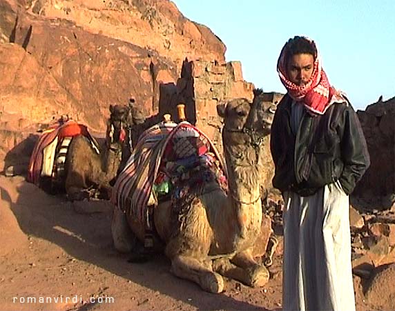 Camel driver on Mt. Moses 