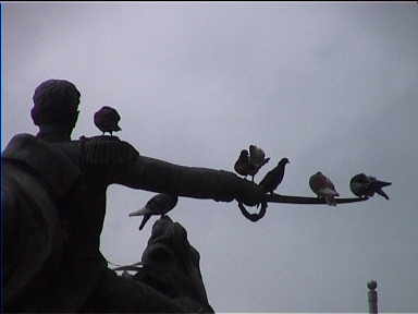 The pigeons really like Simon Bolivar