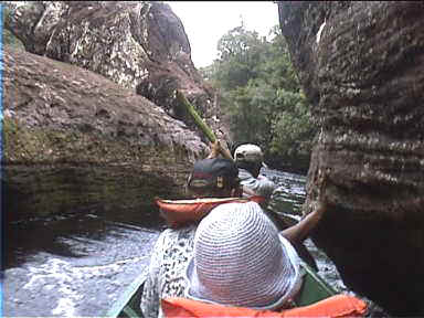 The river is very narrow at times and requires very careful navigation and hands to push away from the rocks (Boat trip to Angel Falls camp)