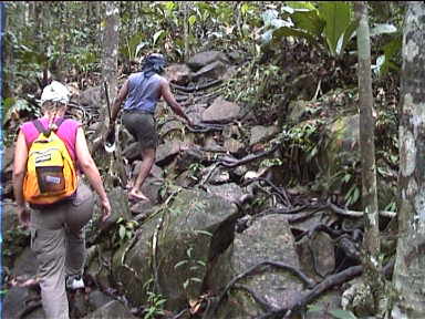 The last leg of the trip to Angel Falls involves a hike through the jungle