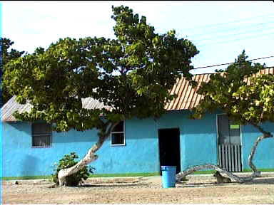 Colourful Gran Roque house