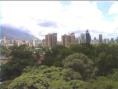 Caracas Skyline from Museo de las Bellas Artes