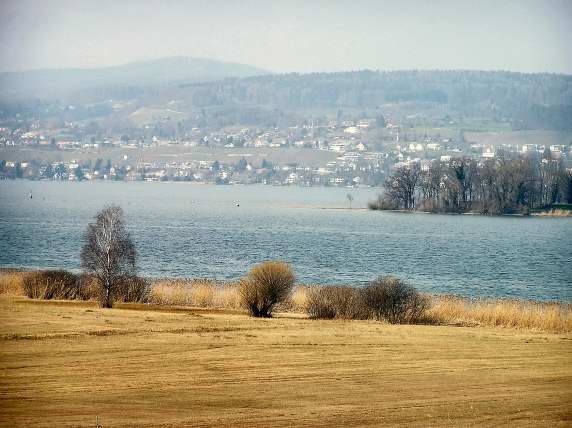 Near the south end of Lake Zurich at Pfñffikon